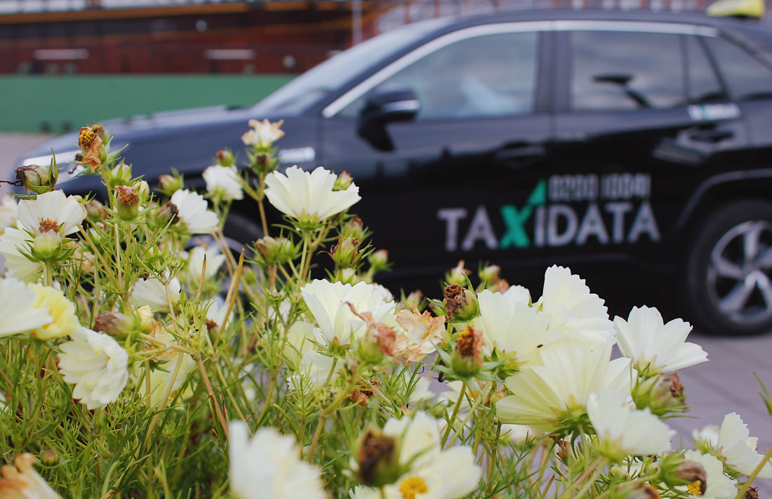 Raunion Taksien Taxidata-auto kesäisten kukkien takana